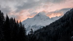 Preview wallpaper mountain, forest, trees, peak, clouds, landscape