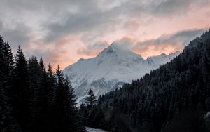 Preview wallpaper mountain, forest, trees, peak, clouds, landscape