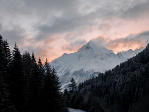Preview wallpaper mountain, forest, trees, peak, clouds, landscape