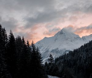 Preview wallpaper mountain, forest, trees, peak, clouds, landscape