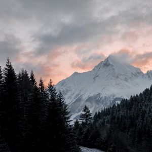 Preview wallpaper mountain, forest, trees, peak, clouds, landscape