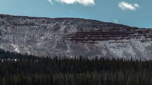 Preview wallpaper mountain, forest, trees, conifer, landscape