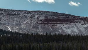 Preview wallpaper mountain, forest, trees, conifer, landscape