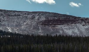 Preview wallpaper mountain, forest, trees, conifer, landscape