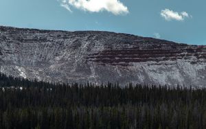 Preview wallpaper mountain, forest, trees, conifer, landscape