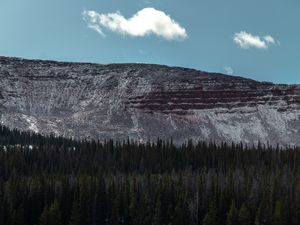 Preview wallpaper mountain, forest, trees, conifer, landscape