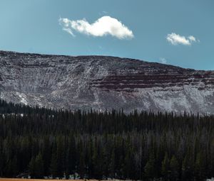 Preview wallpaper mountain, forest, trees, conifer, landscape