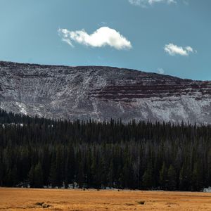 Preview wallpaper mountain, forest, trees, conifer, landscape