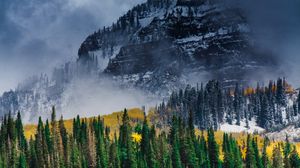 Preview wallpaper mountain, forest, trees, fog