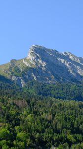 Preview wallpaper mountain, forest, trees, nature, landscape