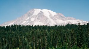 Preview wallpaper mountain, forest, trees, lake, landscape