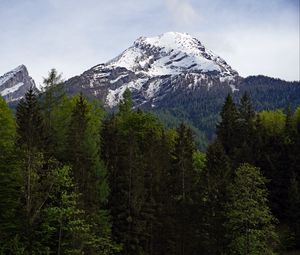 Preview wallpaper mountain, forest, trees, landscape, nature