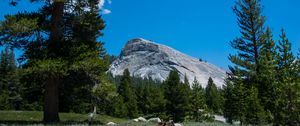 Preview wallpaper mountain, forest, trees, sky, landscape, nature