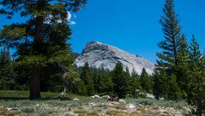 Preview wallpaper mountain, forest, trees, sky, landscape, nature