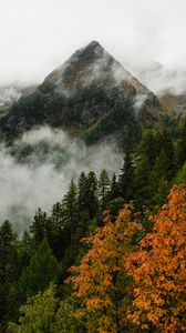 Preview wallpaper mountain, forest, trees, fog, autumn, aerial view