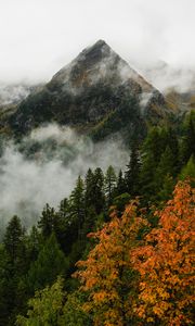 Preview wallpaper mountain, forest, trees, fog, autumn, aerial view