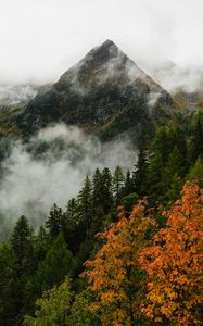 Preview wallpaper mountain, forest, trees, fog, autumn, aerial view