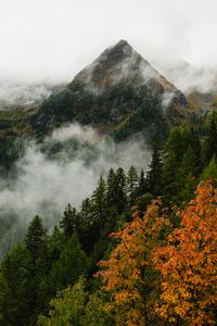 Preview wallpaper mountain, forest, trees, fog, autumn, aerial view