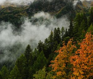 Preview wallpaper mountain, forest, trees, fog, autumn, aerial view