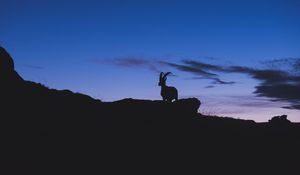 Preview wallpaper mountain goat, silhouette, night