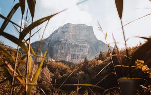 Preview wallpaper mountain, grass, bushes, nature