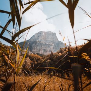 Preview wallpaper mountain, grass, bushes, nature