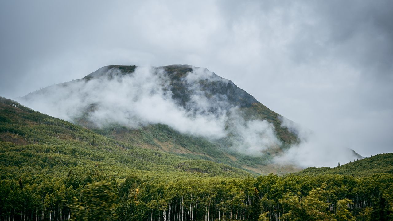 Wallpaper mountain, hill, clouds, trees, forest, landscape