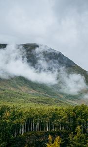 Preview wallpaper mountain, hill, clouds, trees, forest, landscape