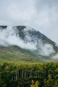 Preview wallpaper mountain, hill, clouds, trees, forest, landscape