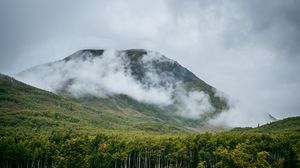 Preview wallpaper mountain, hill, clouds, trees, forest, landscape