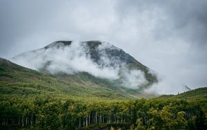 Preview wallpaper mountain, hill, clouds, trees, forest, landscape