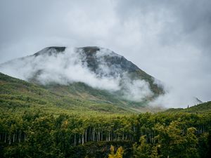 Preview wallpaper mountain, hill, clouds, trees, forest, landscape