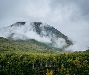 Preview wallpaper mountain, hill, clouds, trees, forest, landscape