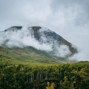 Preview wallpaper mountain, hill, clouds, trees, forest, landscape