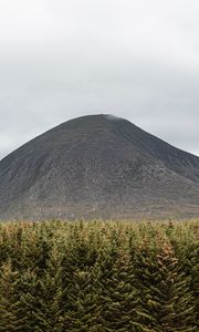 Preview wallpaper mountain, hill, peak, trees, pines