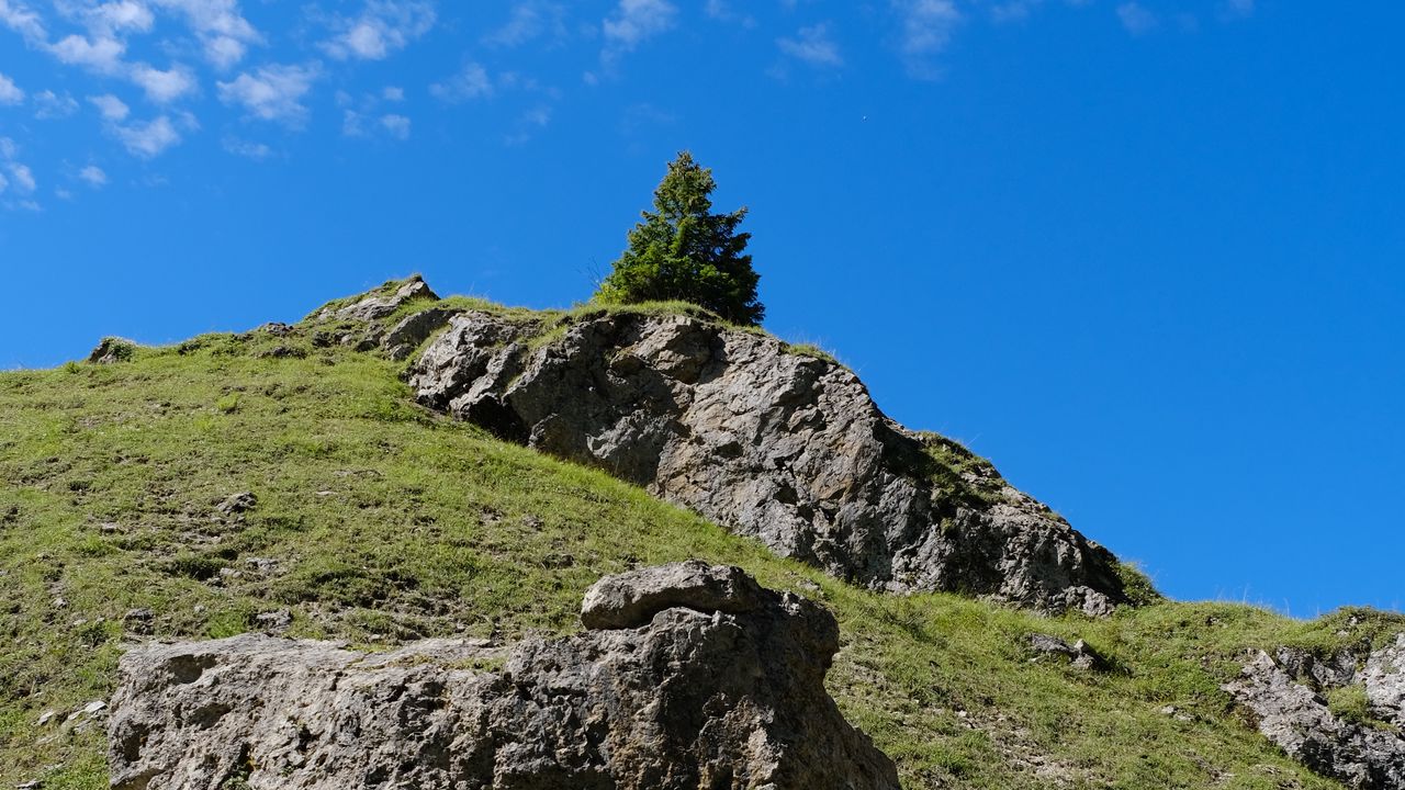 Wallpaper mountain, hill, slope, tree, relief, grass, nature