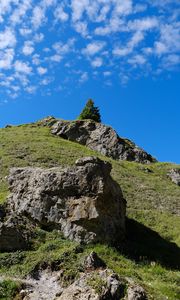 Preview wallpaper mountain, hill, slope, tree, relief, grass, nature