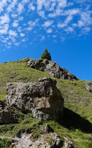 Preview wallpaper mountain, hill, slope, tree, relief, grass, nature