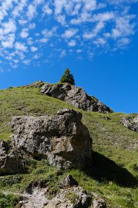Preview wallpaper mountain, hill, slope, tree, relief, grass, nature