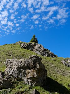 Preview wallpaper mountain, hill, slope, tree, relief, grass, nature