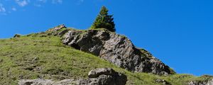 Preview wallpaper mountain, hill, slope, tree, relief, grass, nature