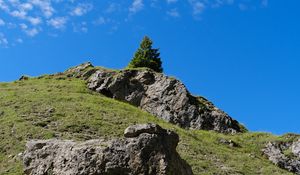 Preview wallpaper mountain, hill, slope, tree, relief, grass, nature