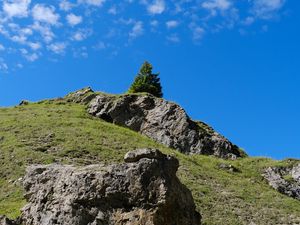 Preview wallpaper mountain, hill, slope, tree, relief, grass, nature