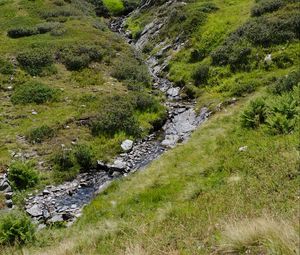 Preview wallpaper mountain, hill, stream, stones, grass, nature