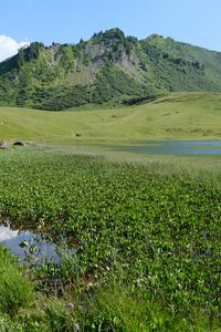 Preview wallpaper mountain, hill, valley, grass, landscape, nature