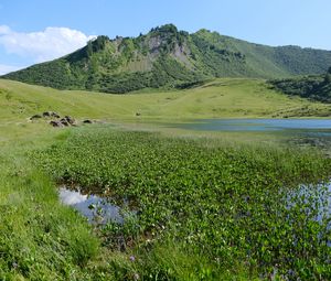 Preview wallpaper mountain, hill, valley, grass, landscape, nature