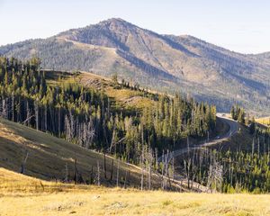 Preview wallpaper mountain, hills, slopes, nature, trees