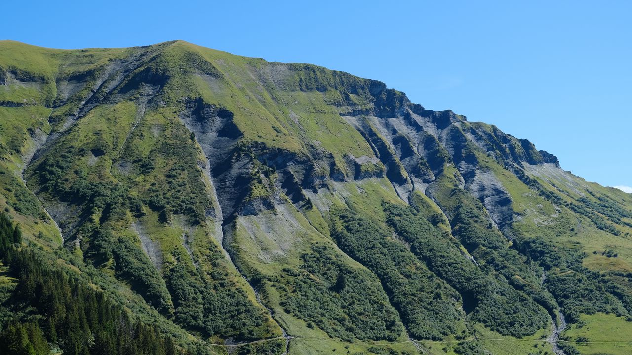 Wallpaper mountain, hills, trees, landscape, nature