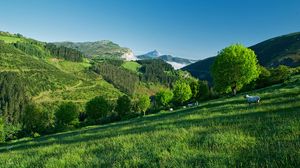 Preview wallpaper mountain, hillside, sheep, grass, trees, summer