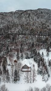 Preview wallpaper mountain, house, aerial view, trees, snow, winter